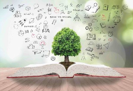Webuy Global, WITSTAR Team Up to Boost Cross-Border Education