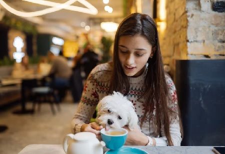 China Launches First-Ever Undergraduate Program in Pet Sciences