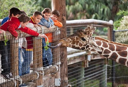 Mandai Wildlife Reserve to Launch Asia's First 'ZooSchool' and Forest Event Hub